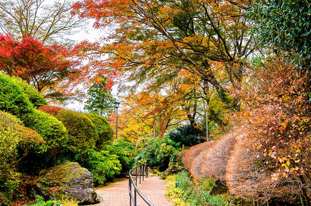 箱根強羅公園