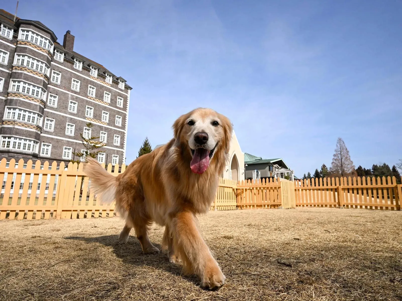 ウェルネスの森 那須（共立リゾート）