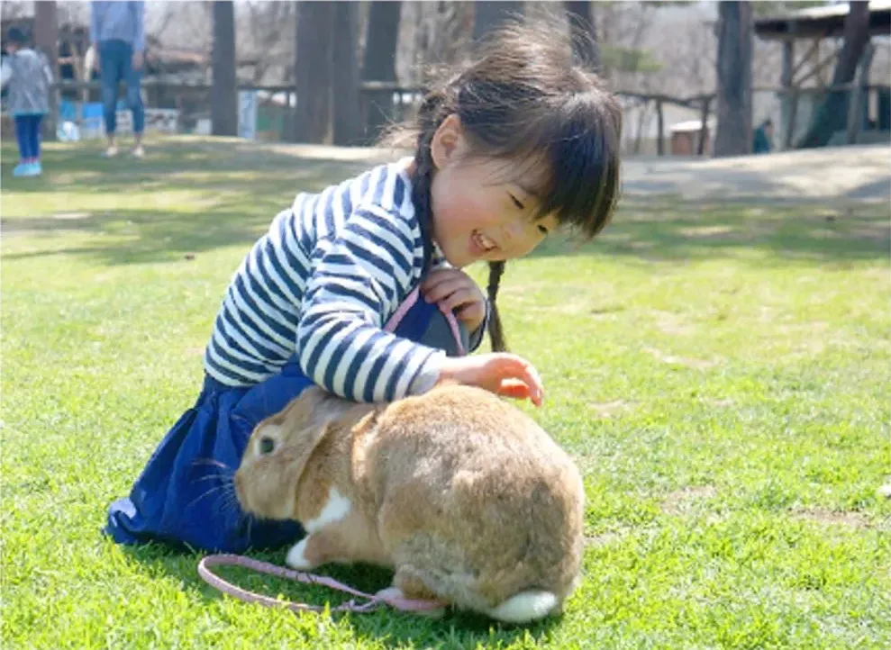 那須高原 南ヶ丘牧場