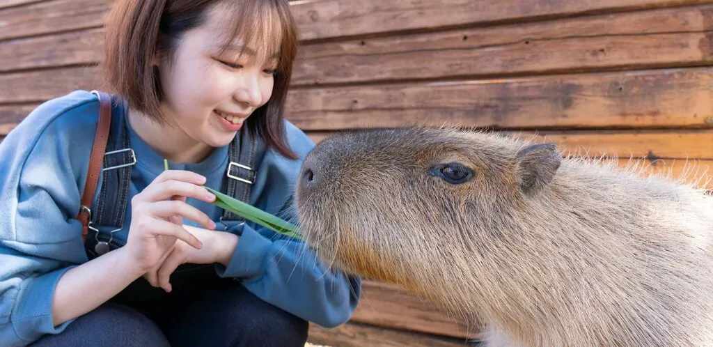 那須どうぶつ王国