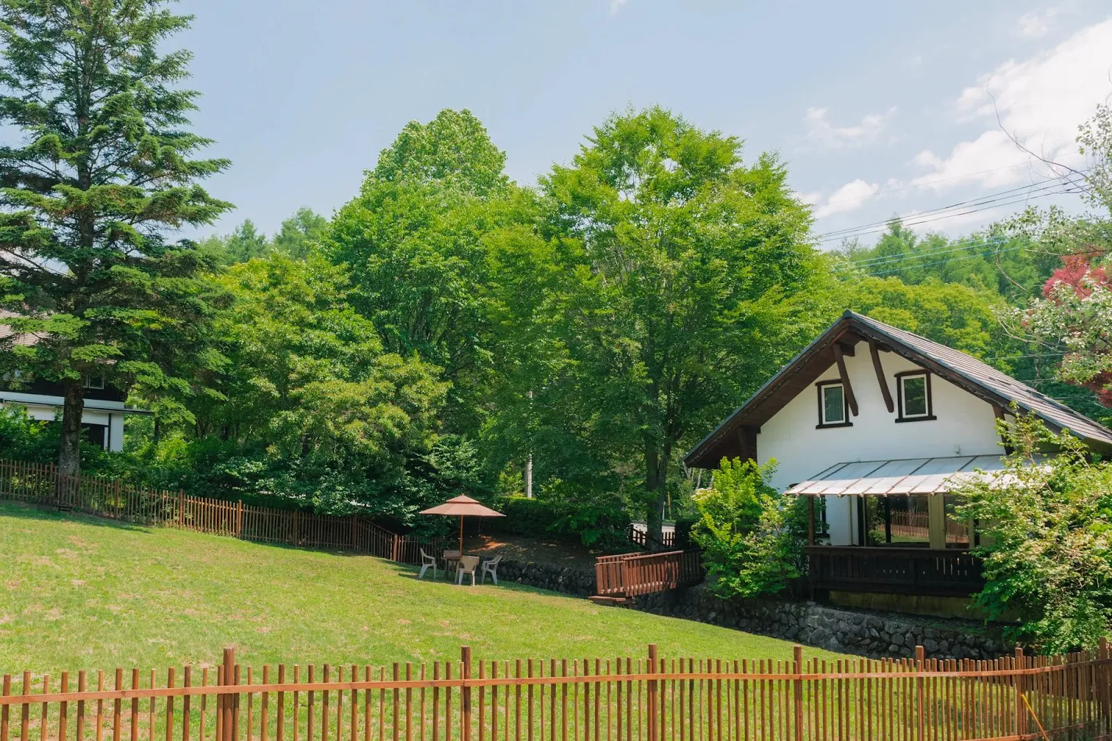 バウムコレクション