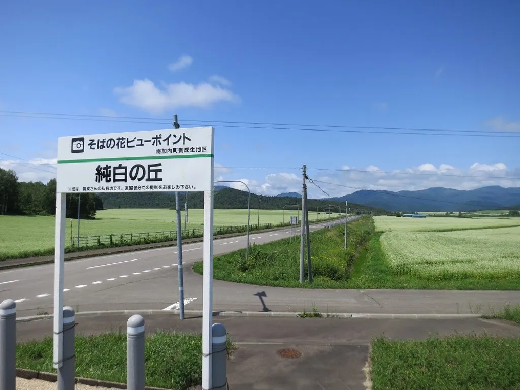 そばの花ビューポイント