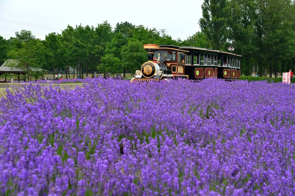 サッポロさとらんど