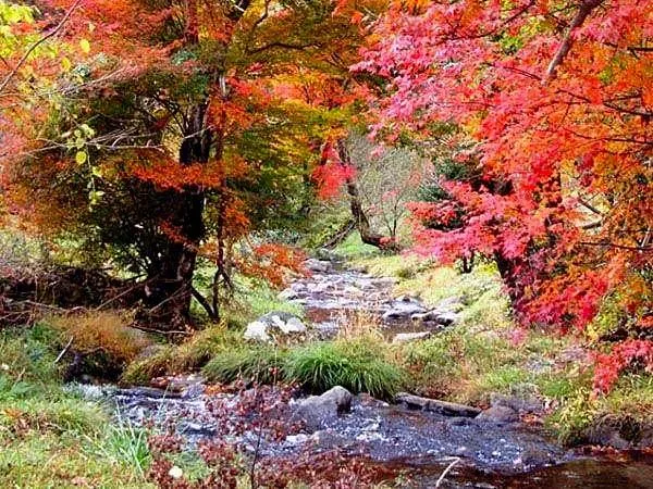 平野台高原展望所（清流の森）