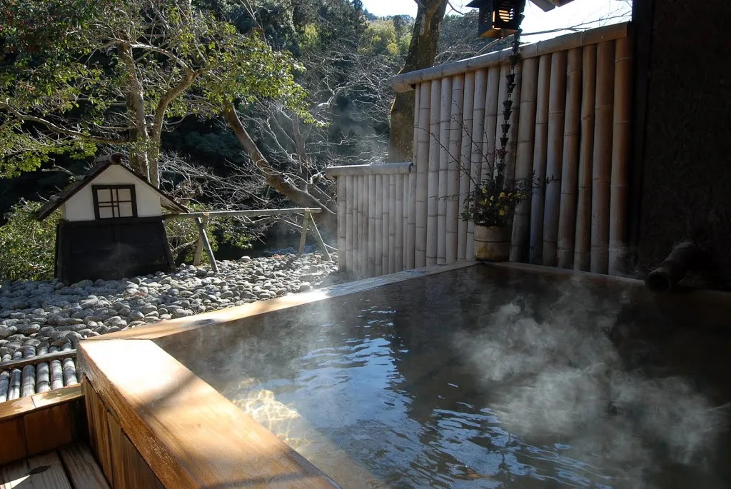 漢方薬膳料理の宿 はづ木