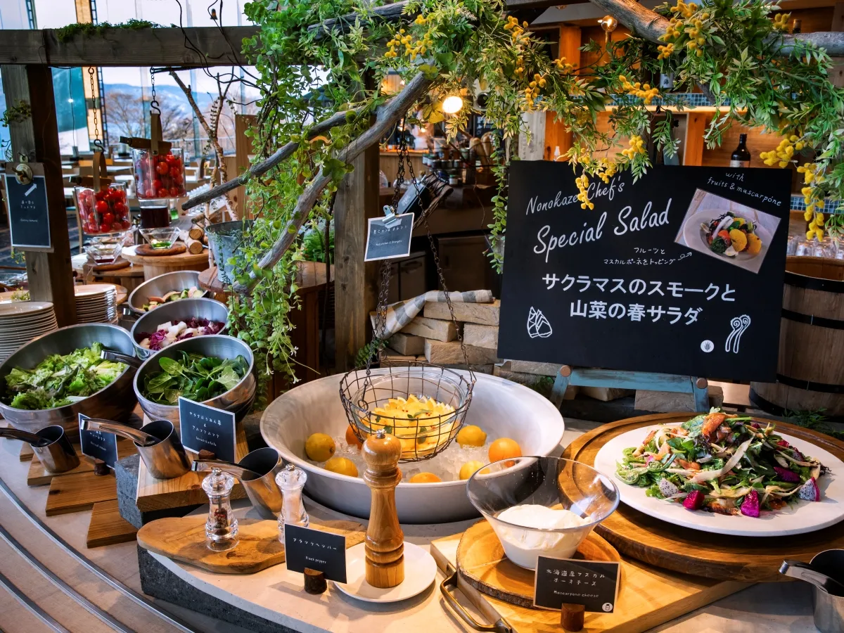 ザ レイクビュー TOYA 乃の風リゾート