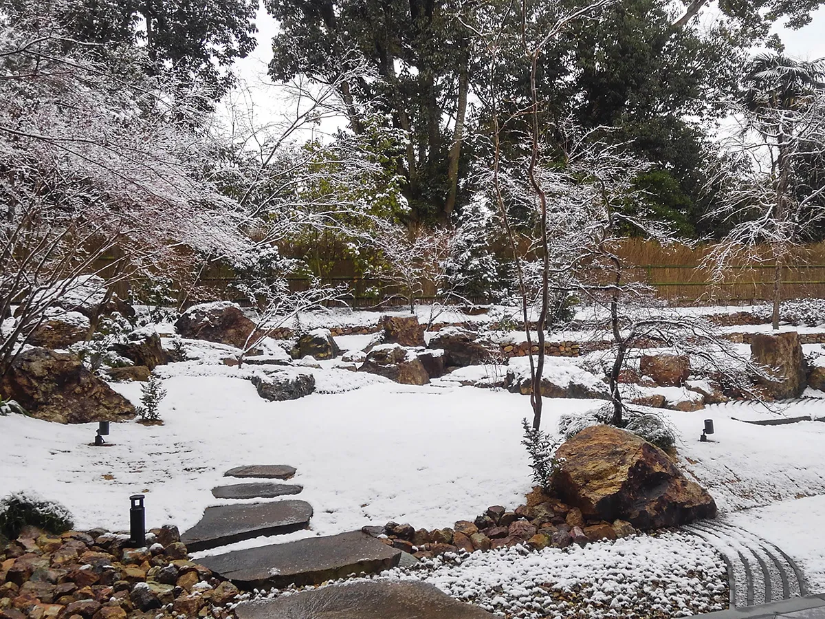 古都平安の宿 奏