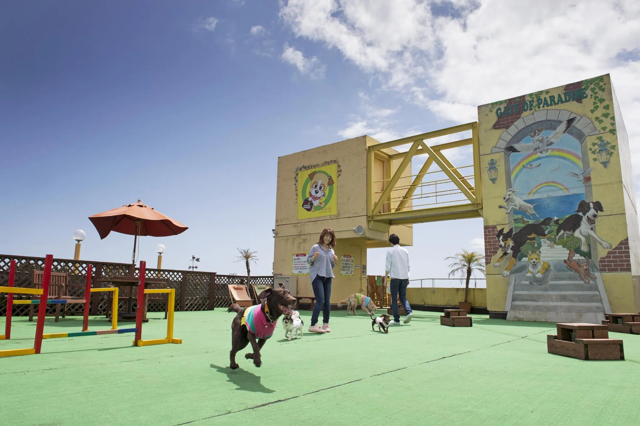 伊豆高原わんわんパラダイス コンドミニアム