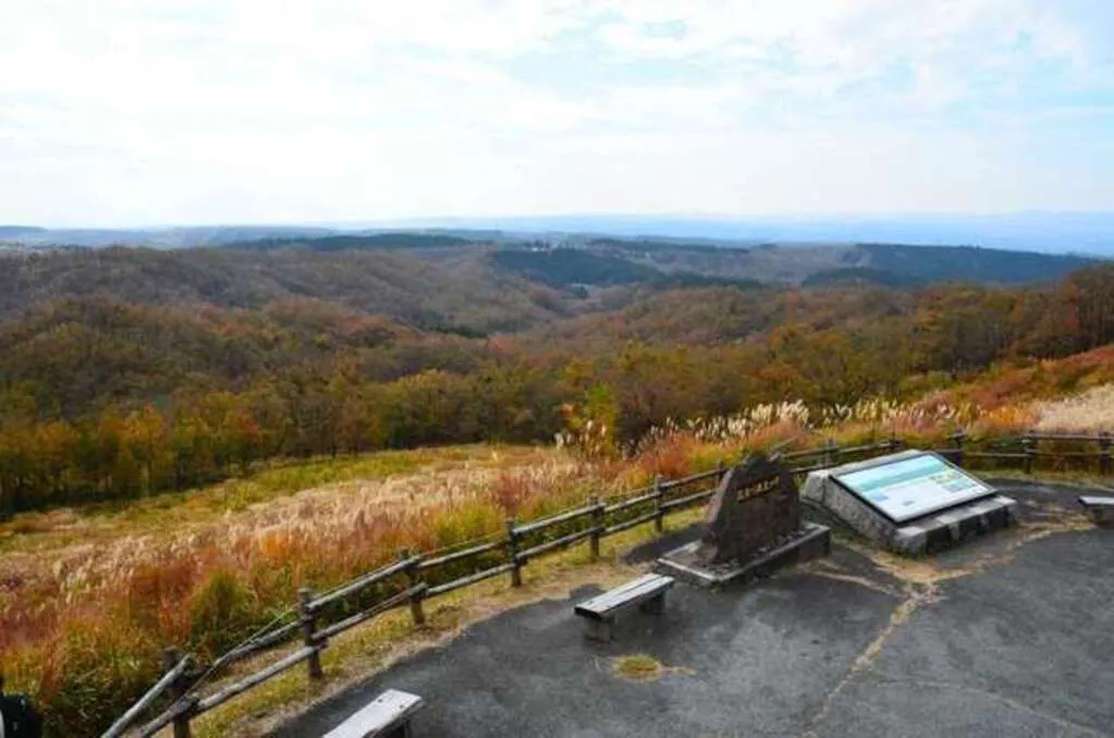 清流の森（平野台高原展望所）