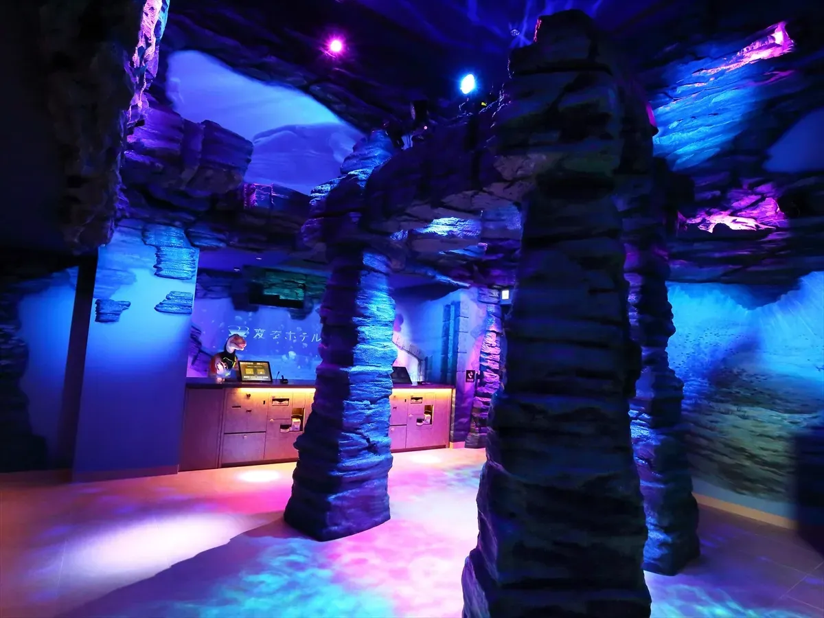 変なリゾート&スパ 関西空港(旧 変なホテル 関西空港)