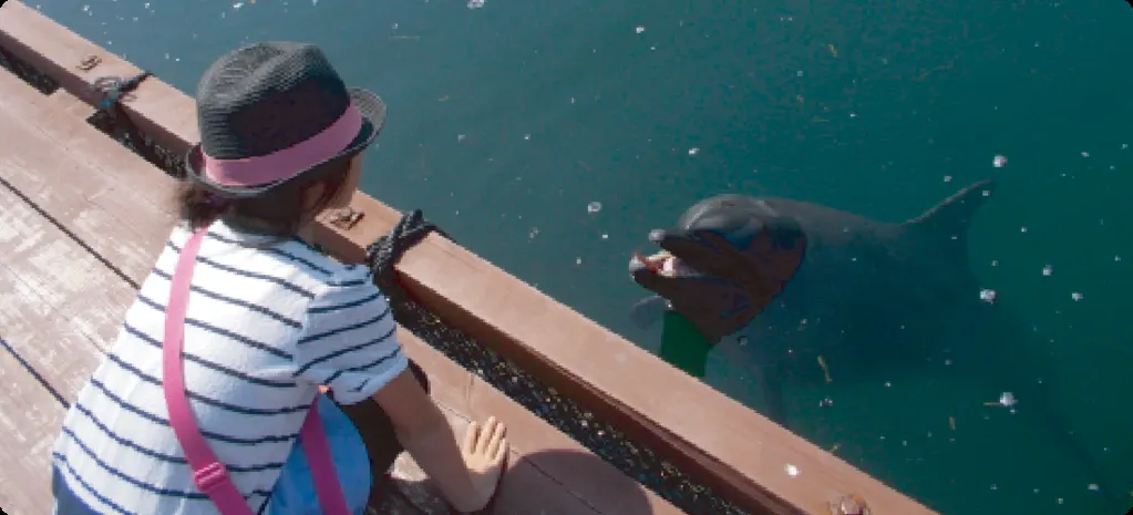 ドルフィンファームしまなみ