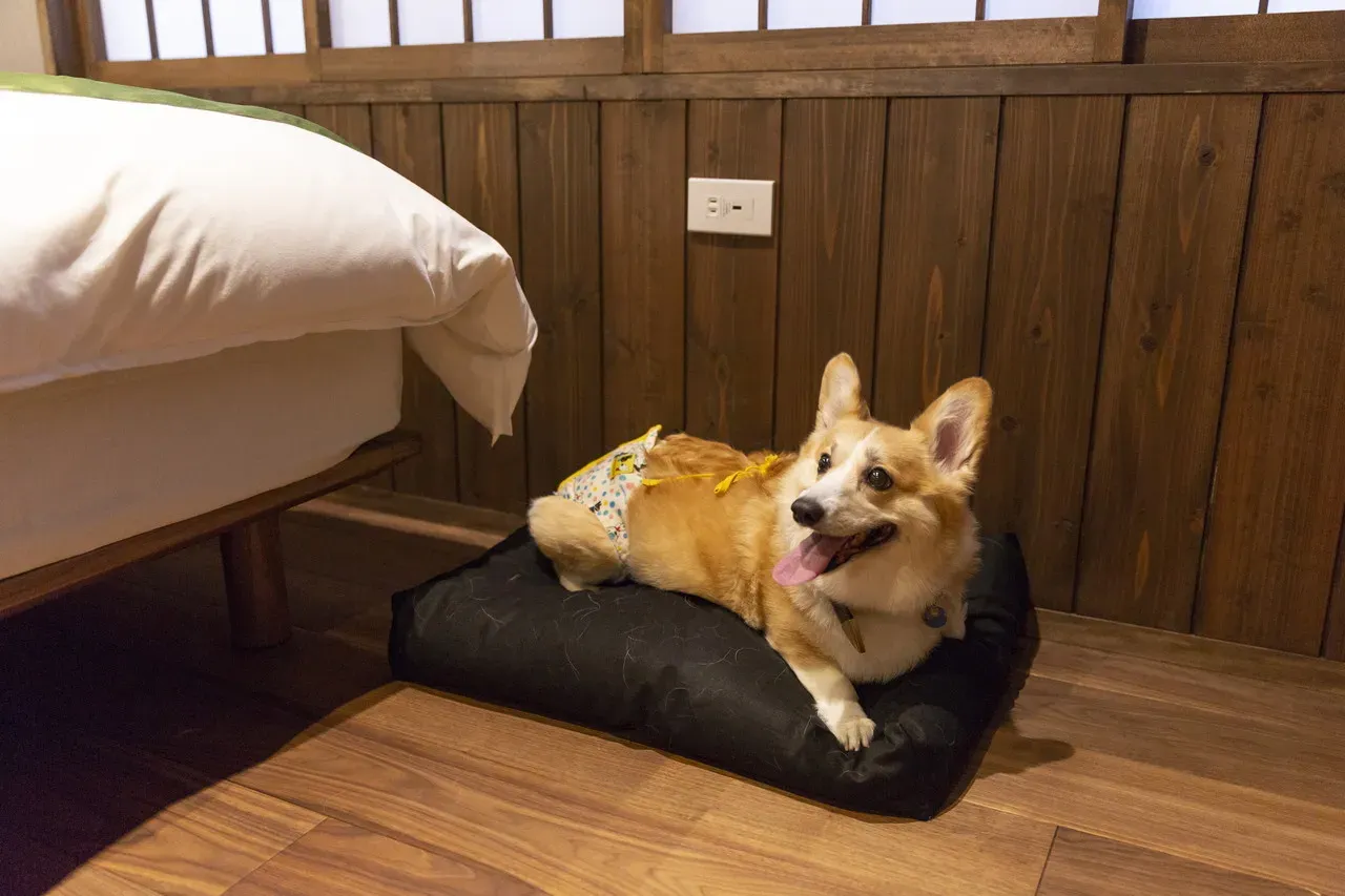 京一軒町家 染 SEN 七条平安