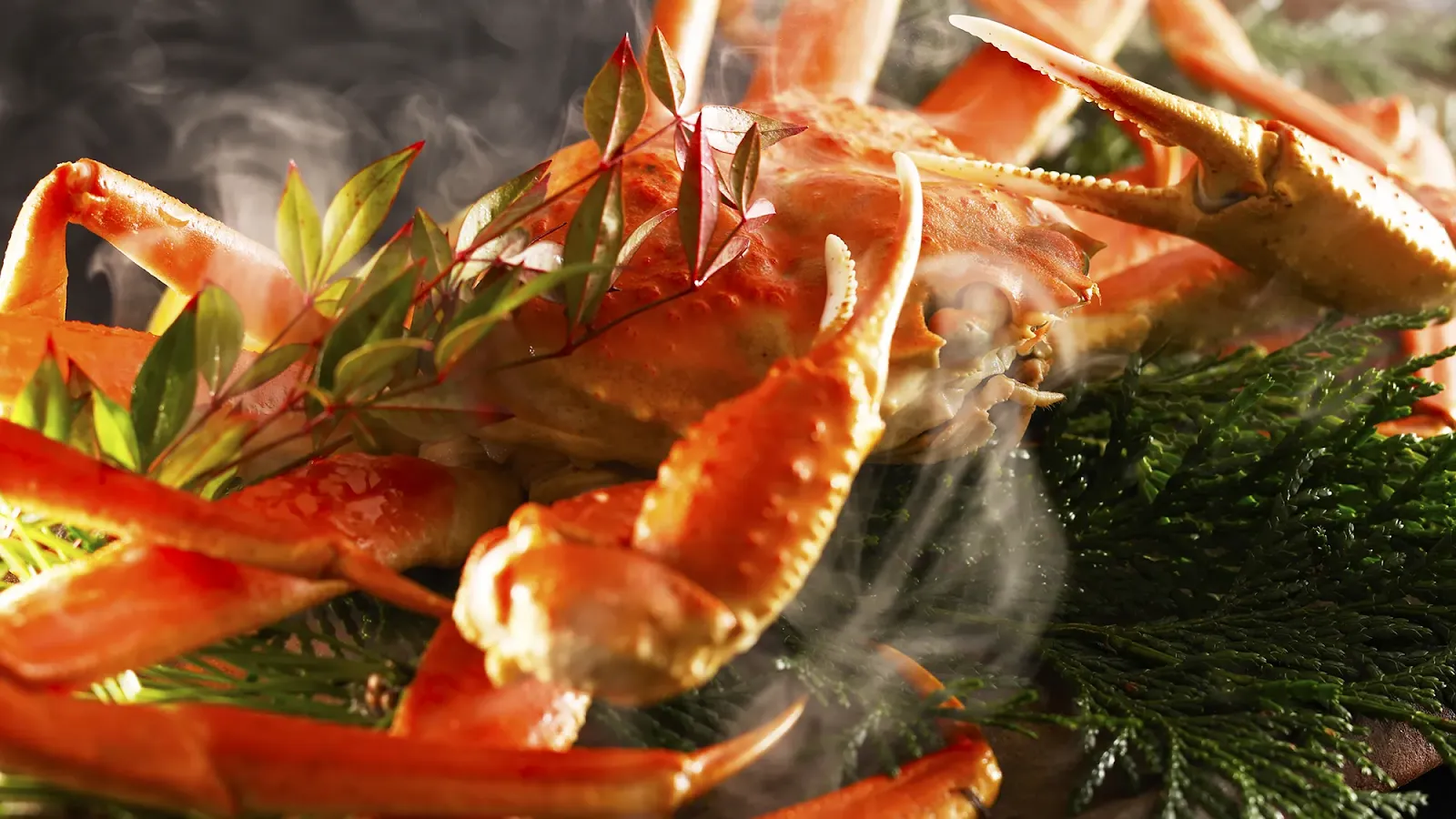 湖上に浮かぶ絶景の宿 はわい温泉 千年亭