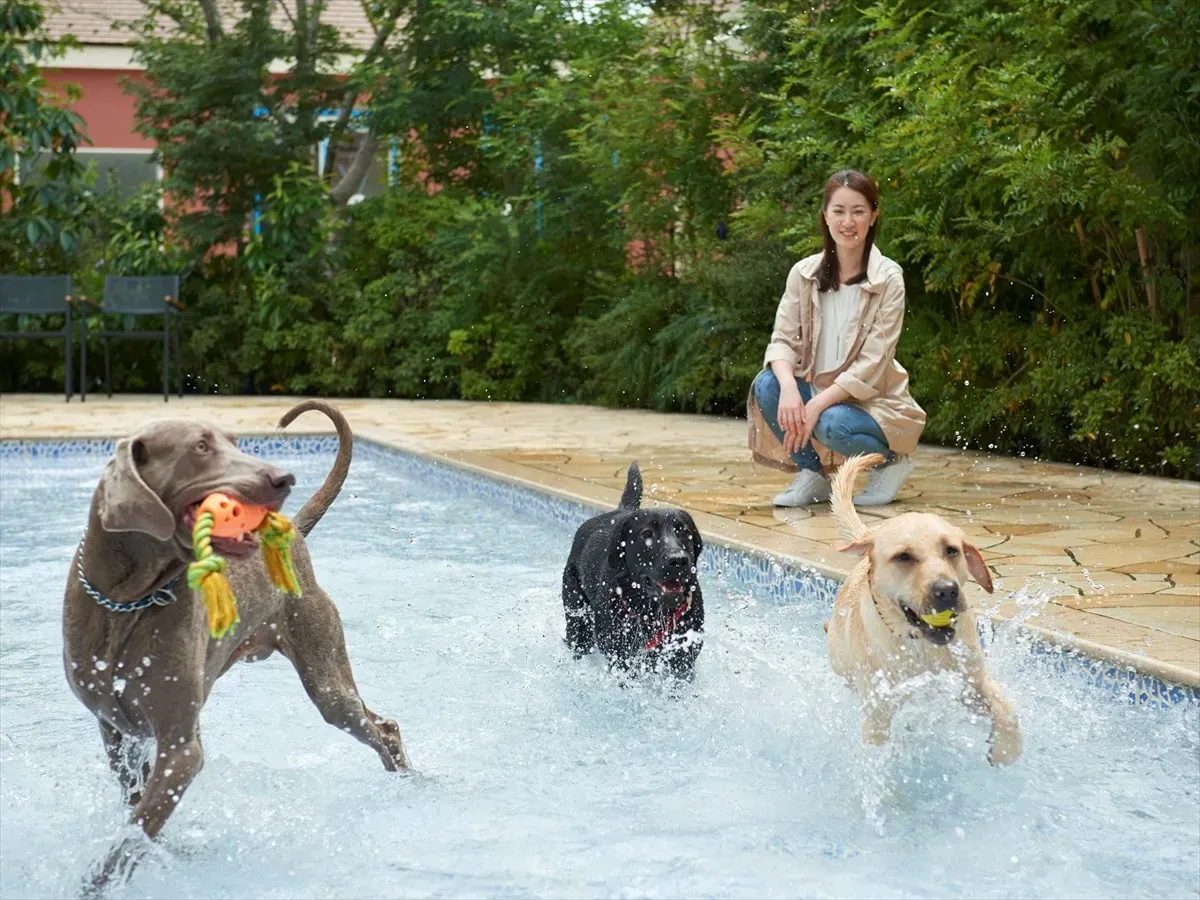 小谷流の里 ドギーズアイランド