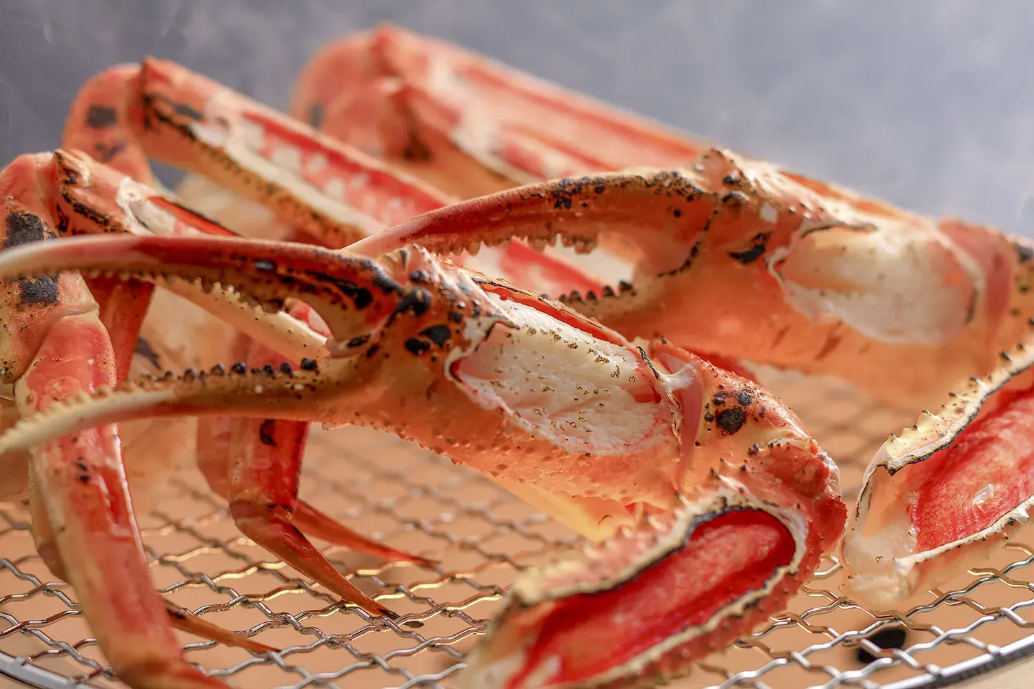 佳松苑 別邸 ふうか