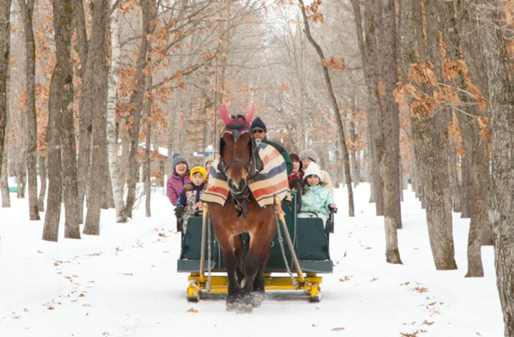 ノーザンホースパーク