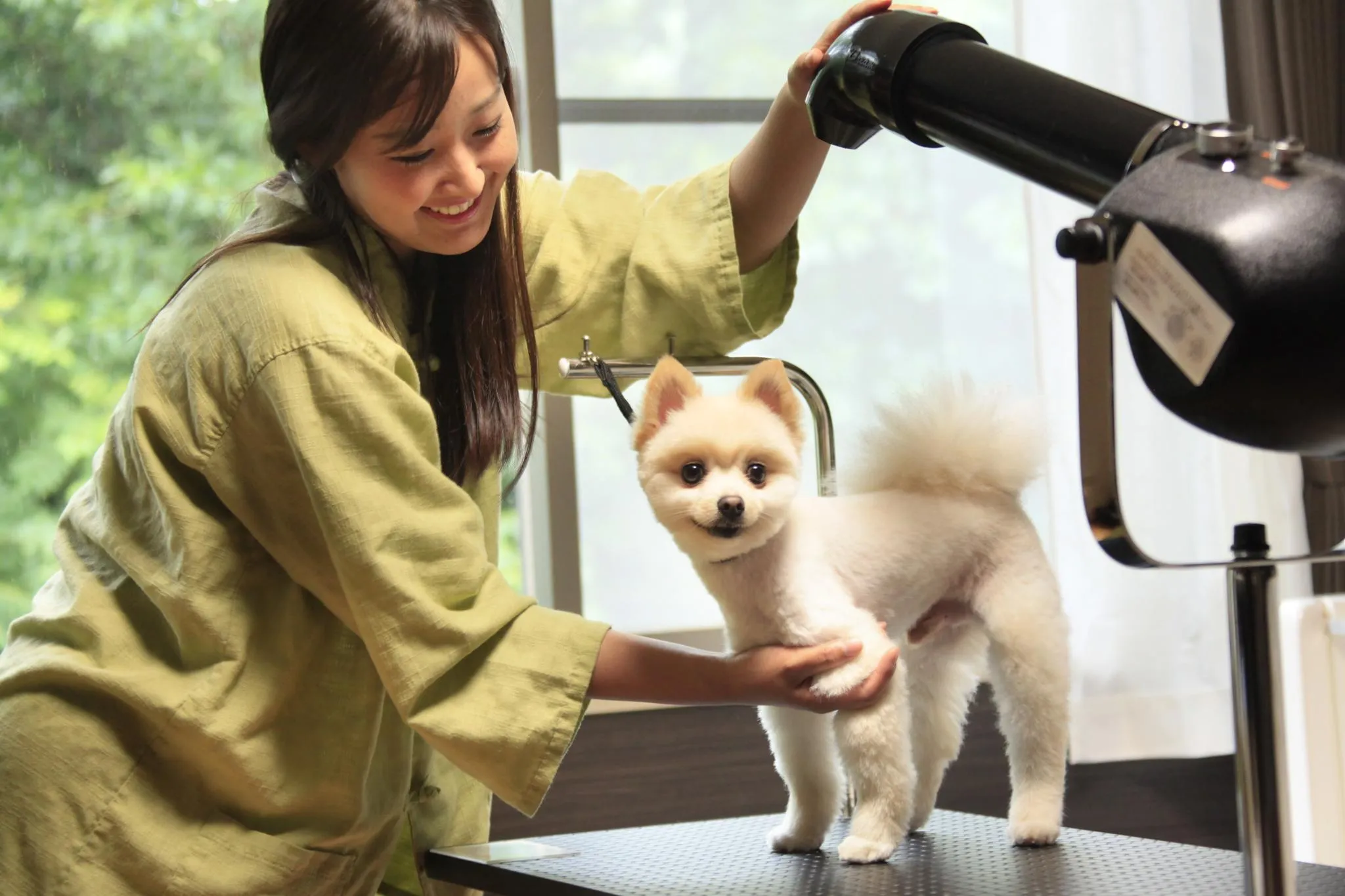 爱犬之宿伊豆高原 订房就上relux