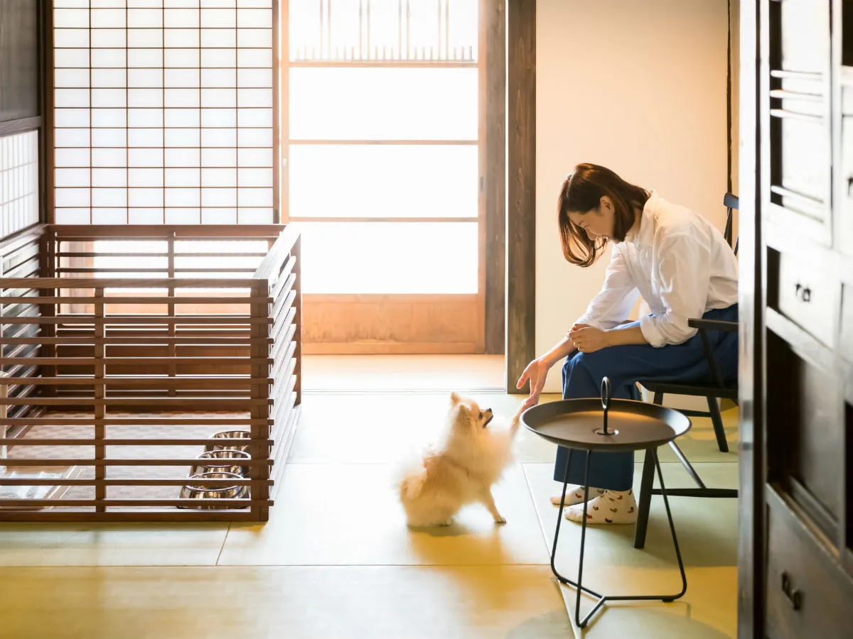 千葉で人気のペットと泊まれる宿おすすめ24選 温泉 ドッグラン付きなど特徴別にご紹介 ペトコト