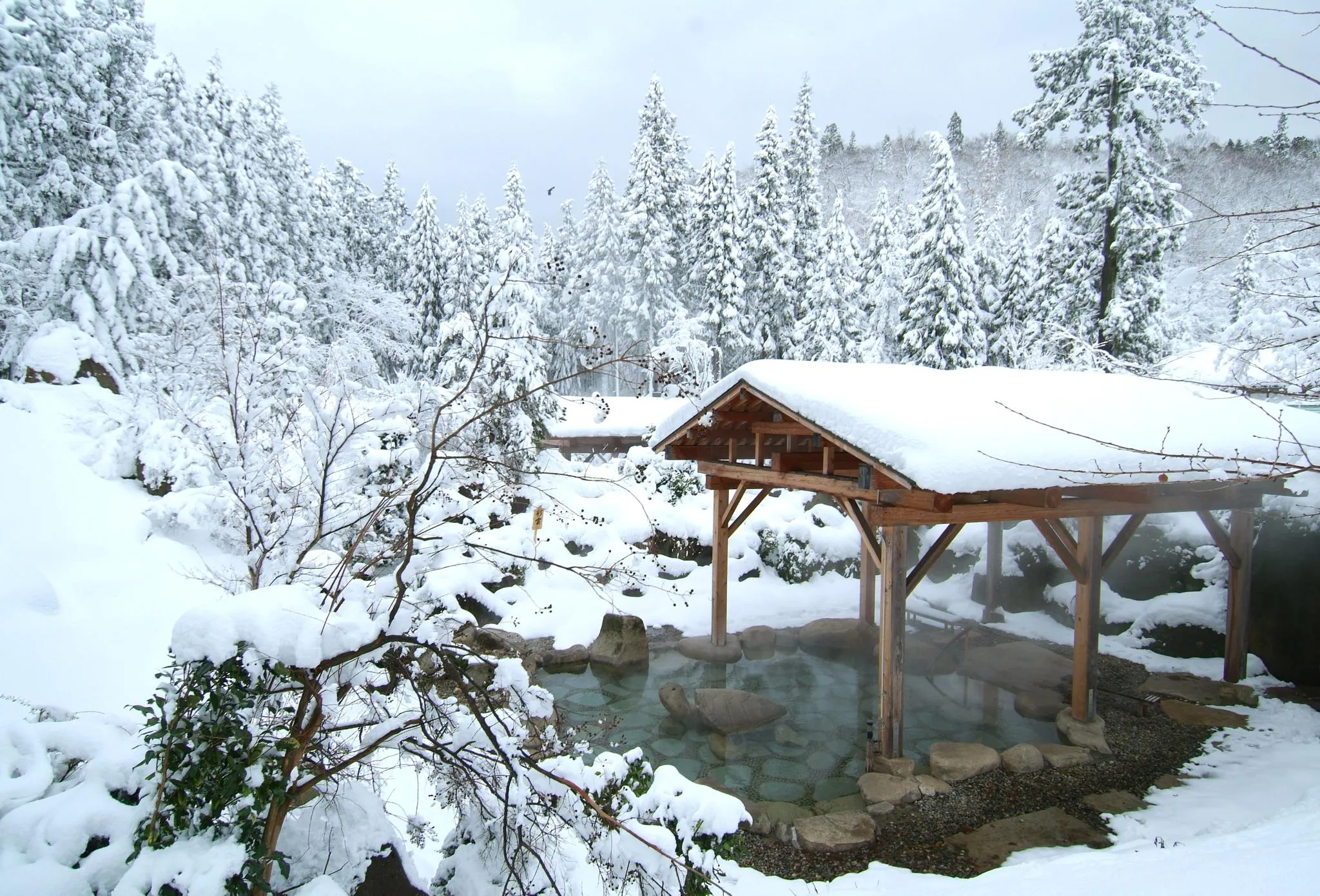 冬の愉しみ、「雪見露天風呂」の贅沢。