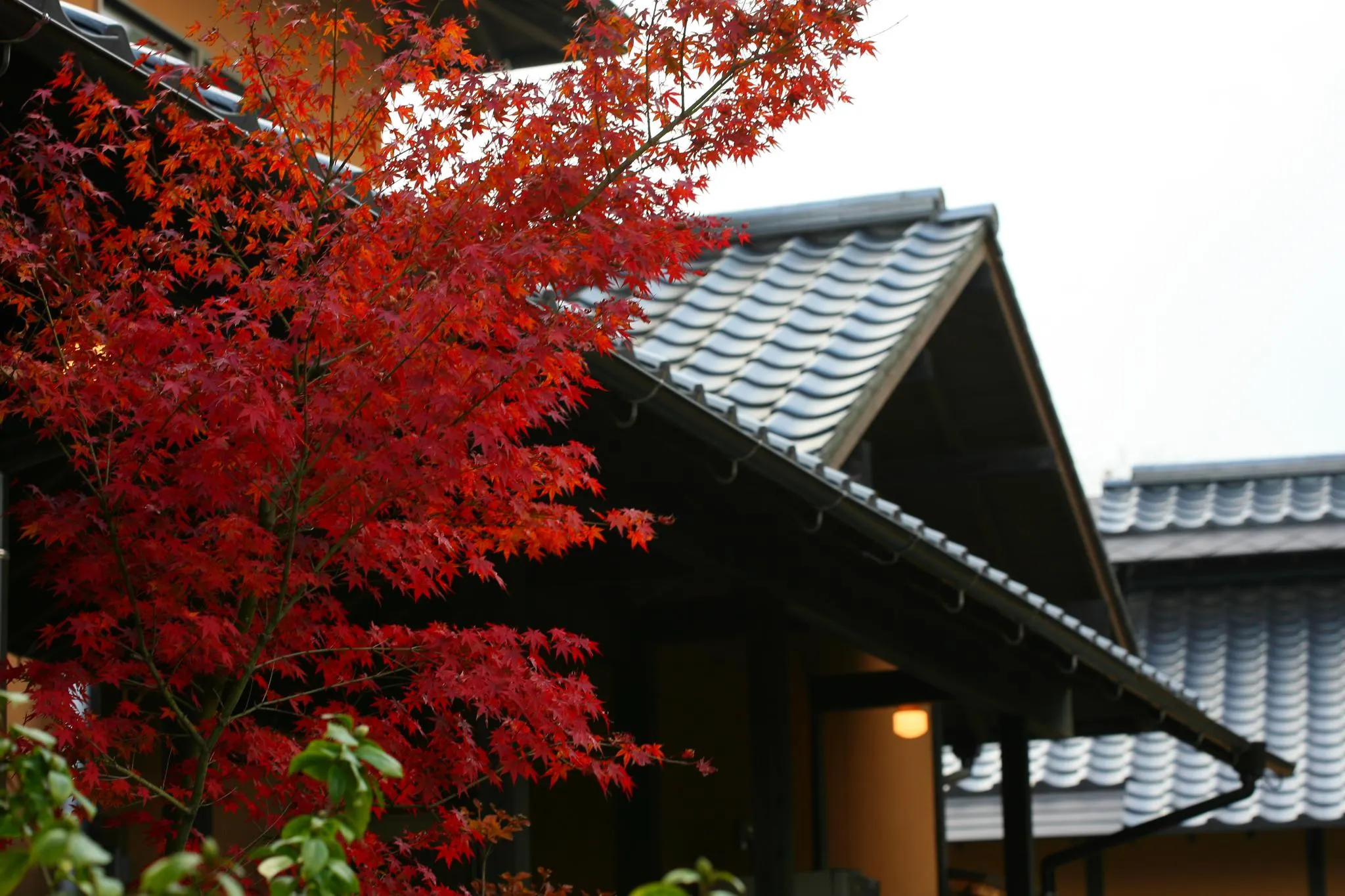 奥ゆのひら 花灯り 宿泊予約はrelux リラックス